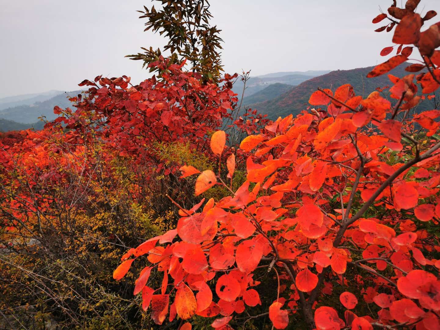 |又一波冷空气即将到来？ 周二、周三气温再度下跌