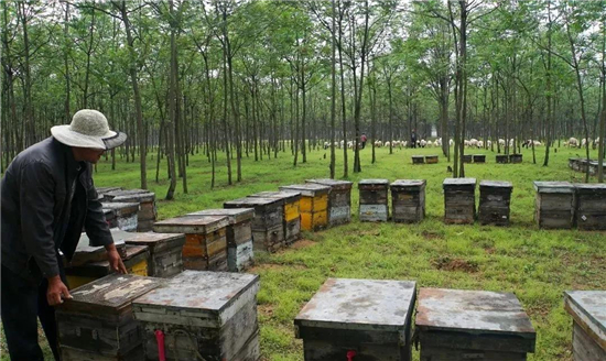 微信图片999_副本