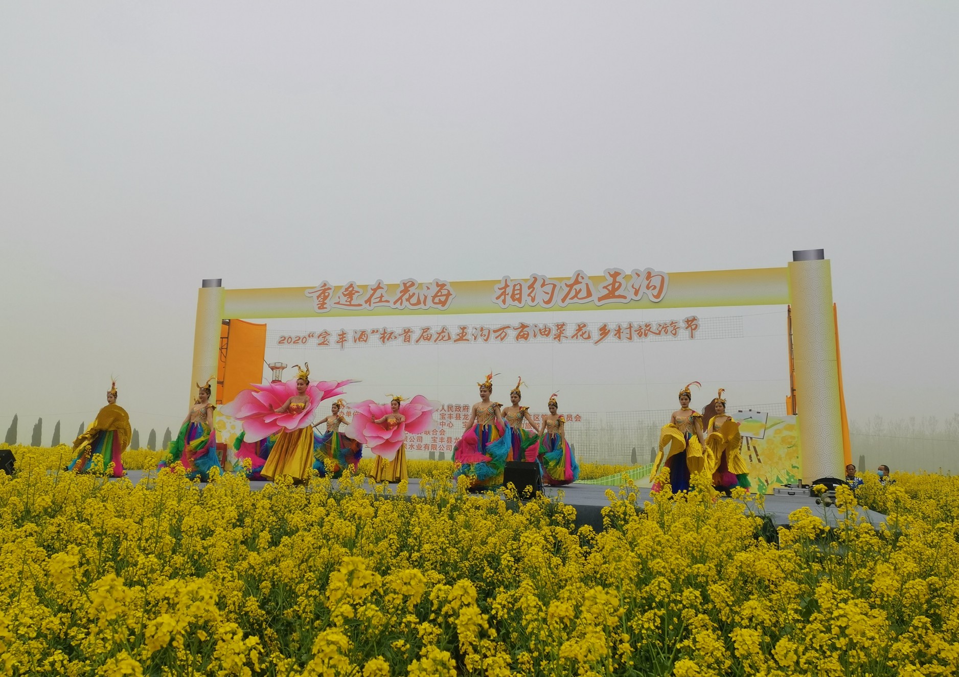 三农■宝丰：万亩油菜花飘香 金色花海迎客来