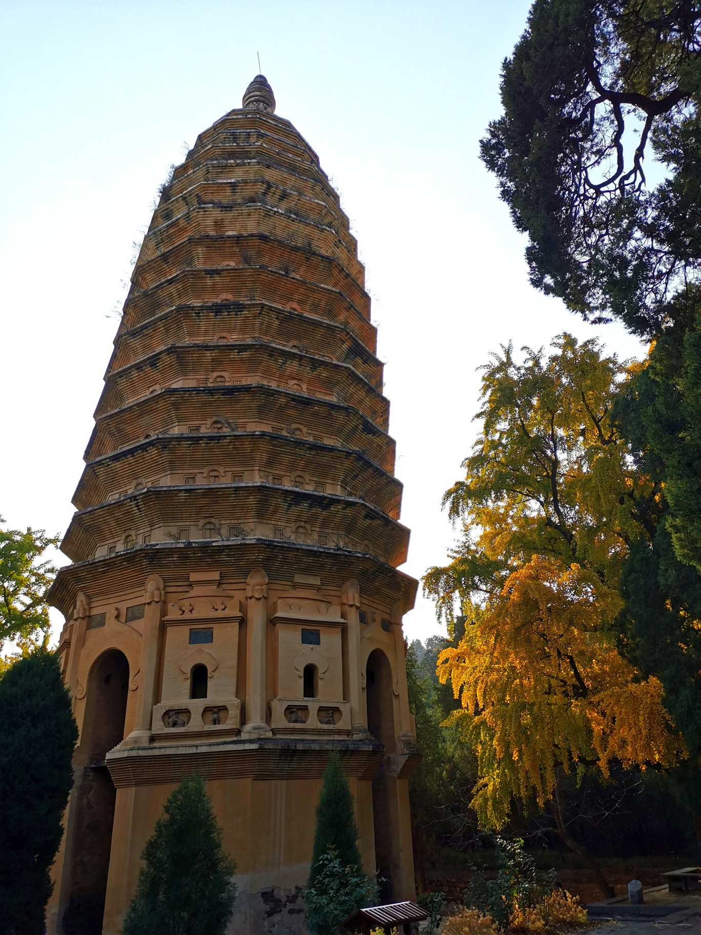 视频华夏第一塔嵩岳寺塔被金黄银杏装点后有多美