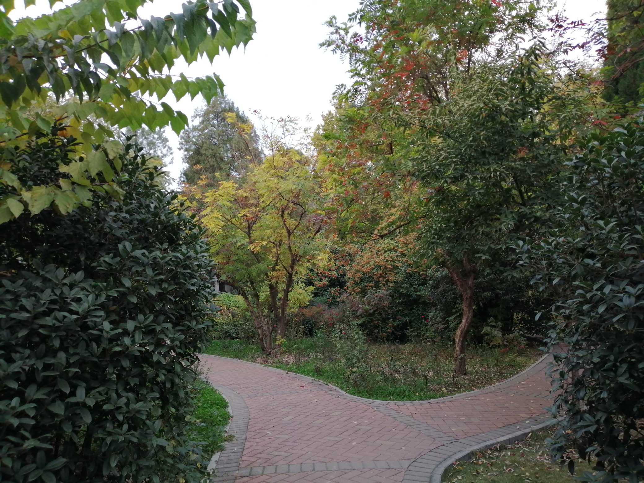 |河南局部地区今明两天有雨 明夜开始冷空气再度来袭