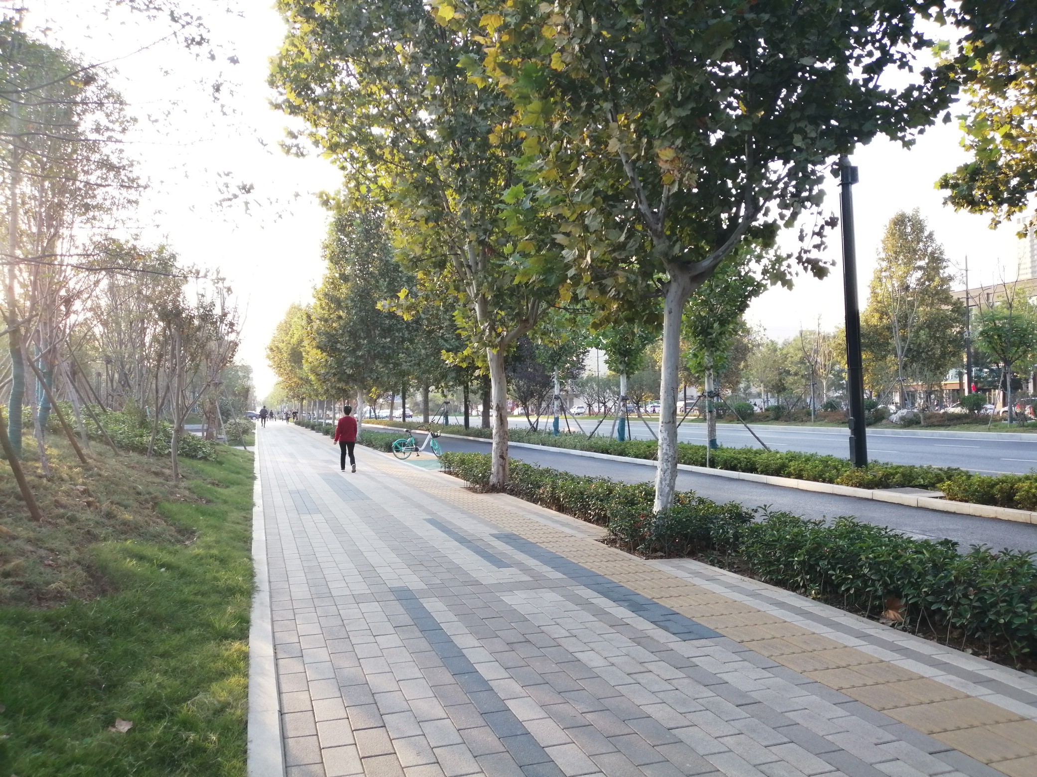 |优先保证人行畅通 郑州全长391.7公里城市主干道正在综合改造中