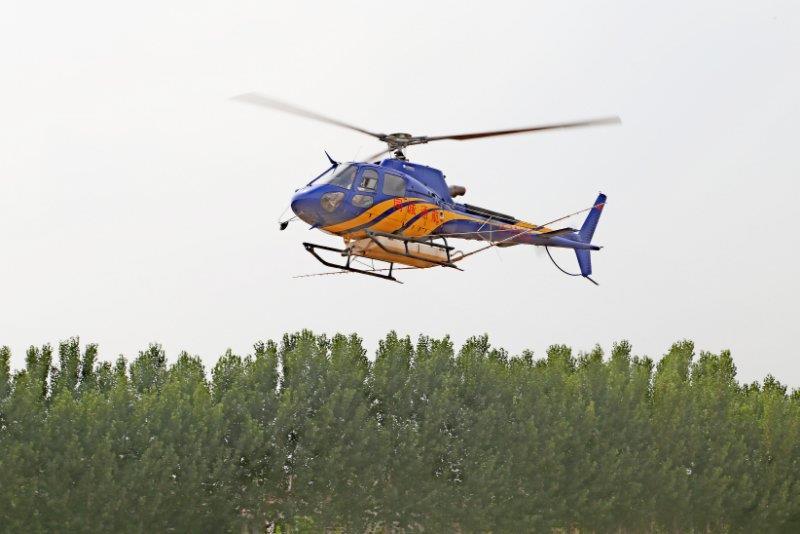 5万亩,圆满完成了2019年飞机防治林业有害