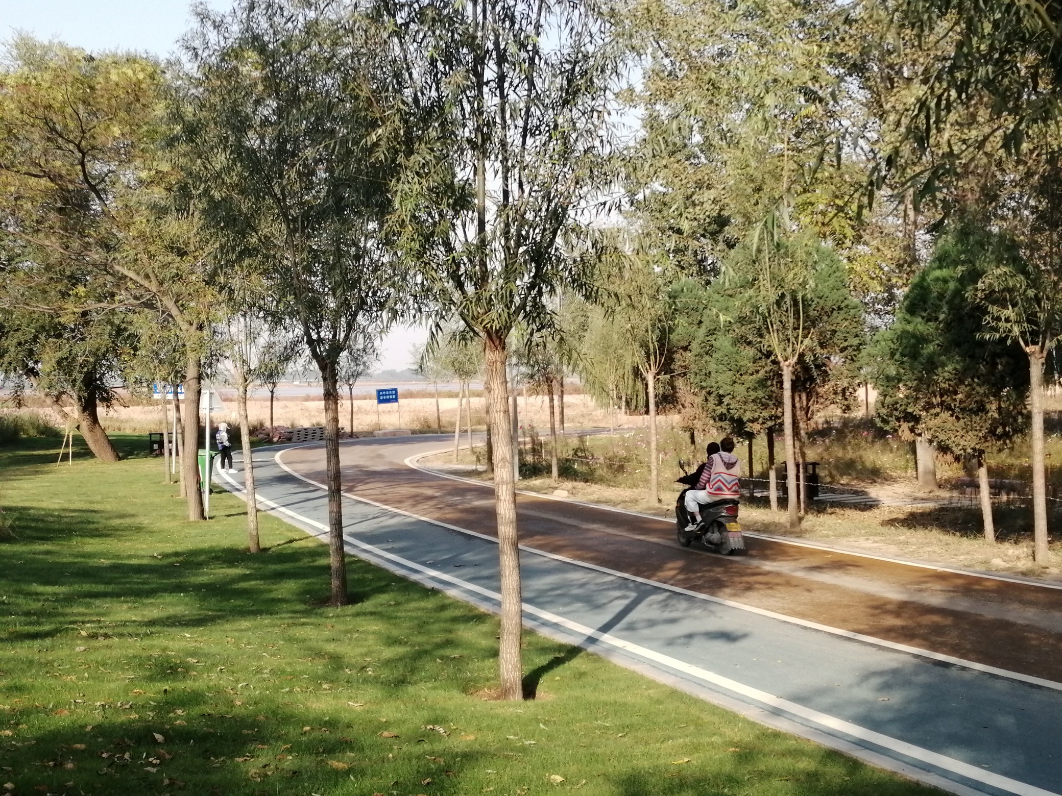 |霜降节气就一定能有霜？下周冷空气将来，河南大降温！