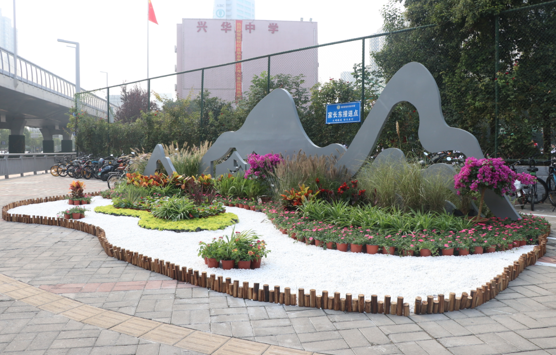 |长得枝繁叶茂 3500棵法桐为啥被断枝?