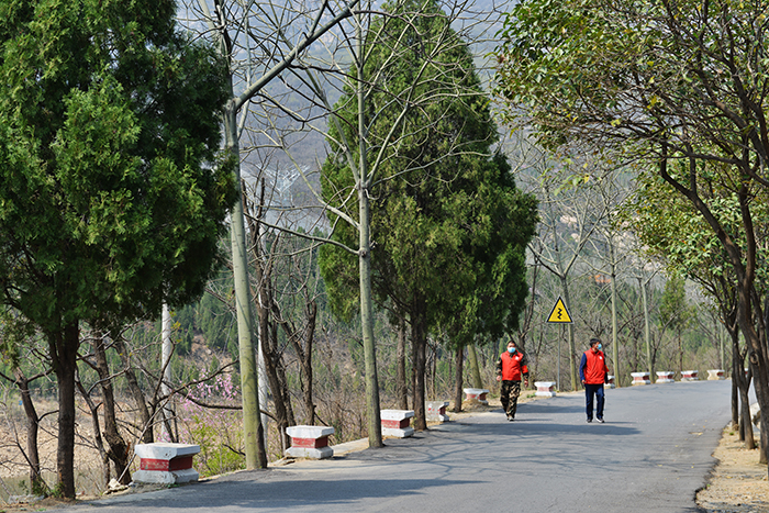 「森林火灾」排查6.6万多个火源隐患 河南连续19天没有发生森林火灾