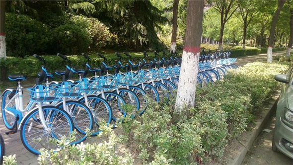 共享单车乱象怎么治理?漯河亮绝招