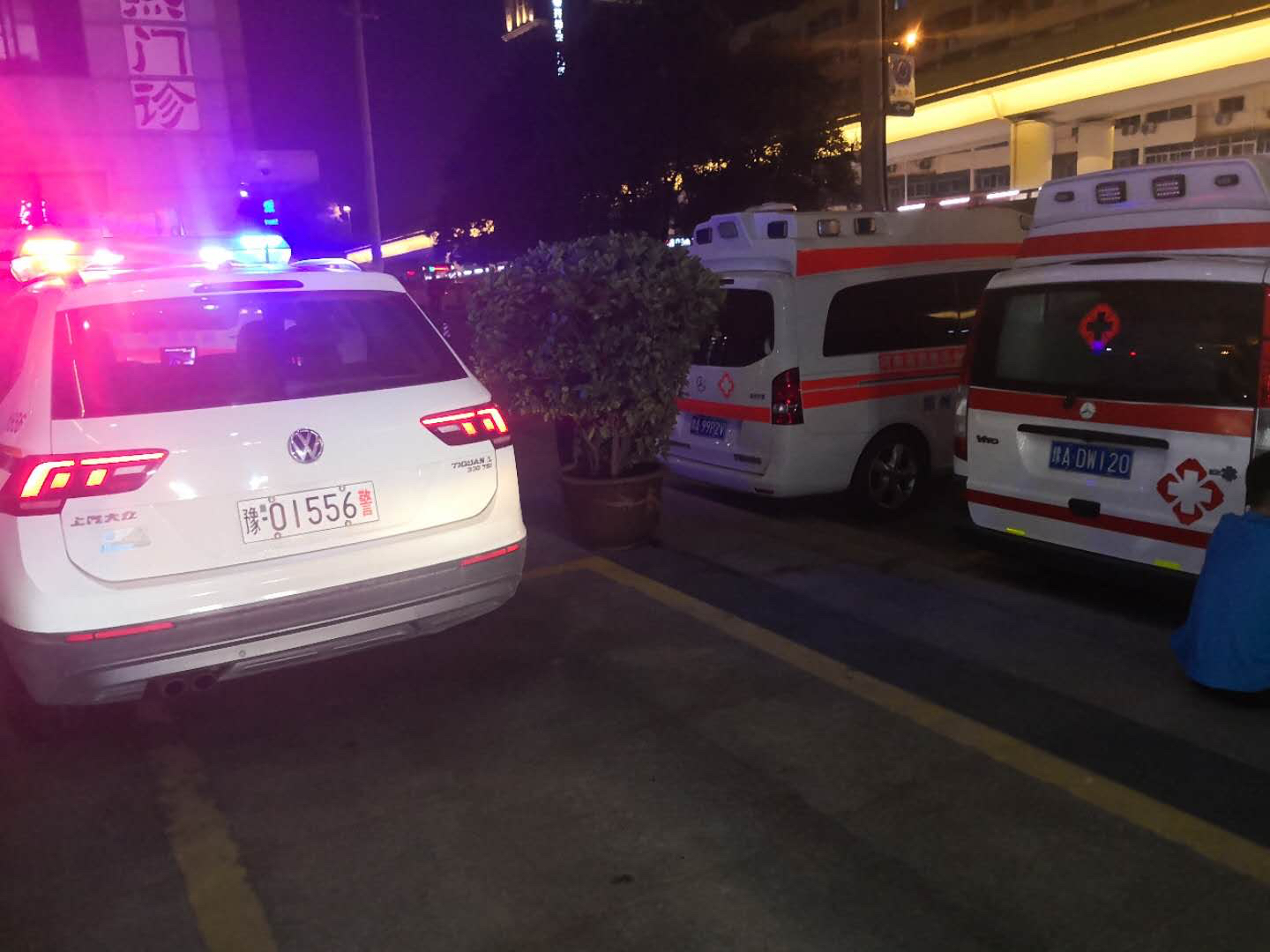 交通|河南一老汉被毒蛇咬伤，高速交警深夜护送