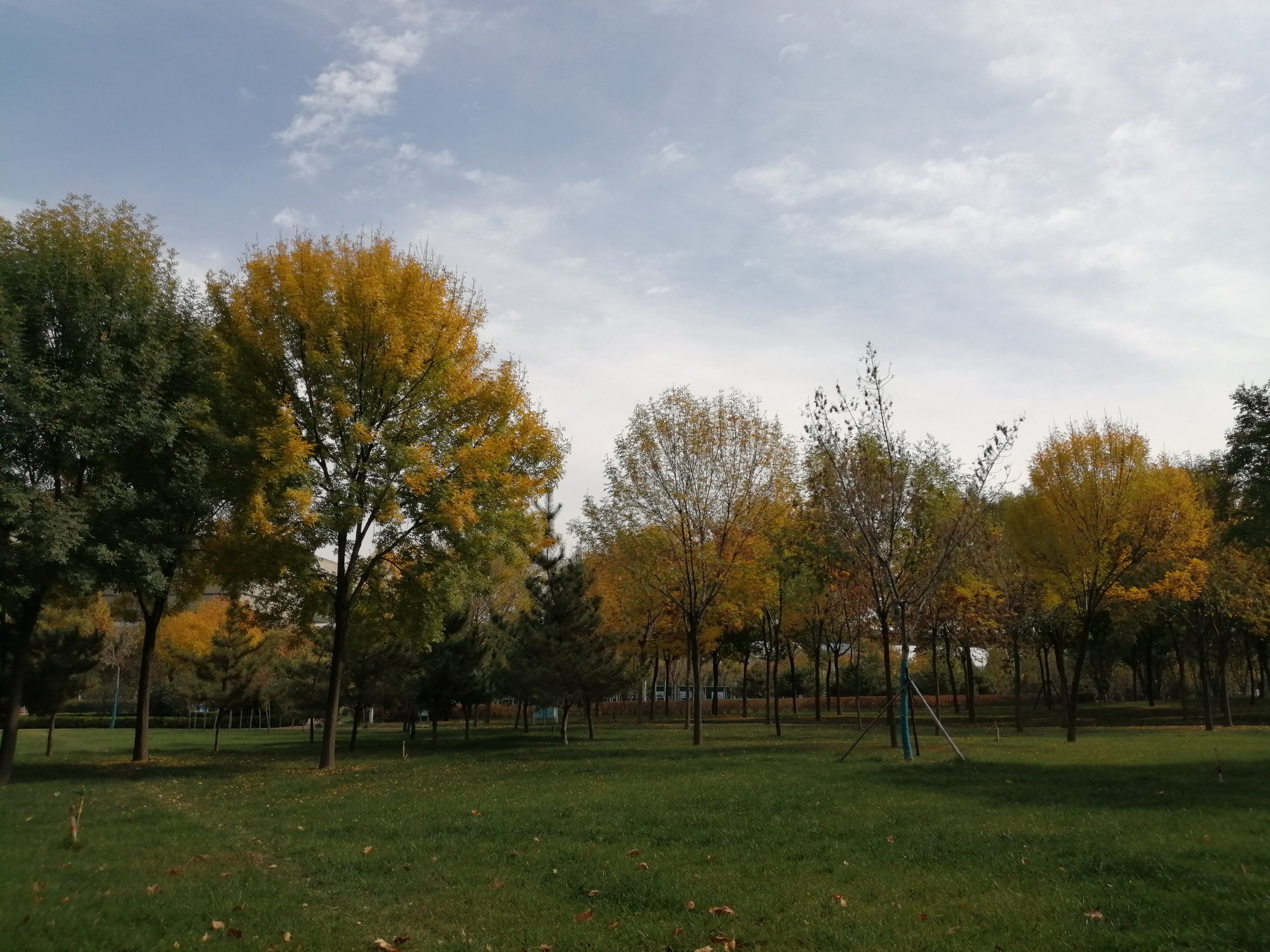 |河南局部地区今明两天有雨 明夜开始冷空气再度来袭