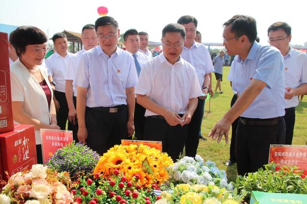 安阳市政府|安阳市消费扶贫活动月暨安阳县“消费扶贫推介日”拉开帷幕 现场完成12万交易额