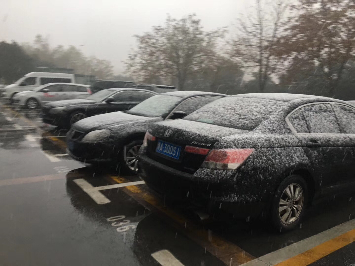 河南發(fā)布雨雪霧霾惡劣天氣安全防范和應(yīng)急處置工作緊急通知