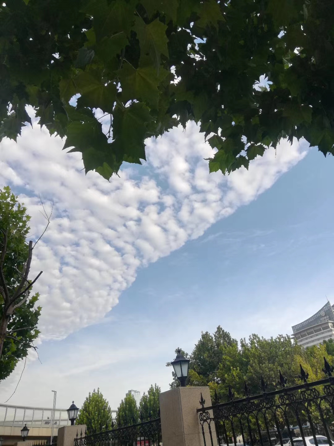 郑州经济|郑州今年的空气质量如何？排名变了！