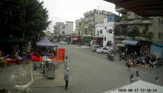 狗|多家法院公号刷屏：养狗要拴绳，伤人要担责!