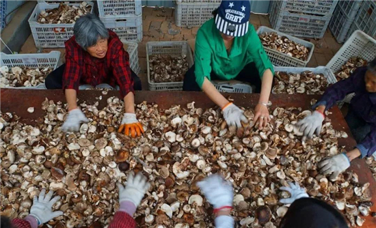 微信图片_888_副本