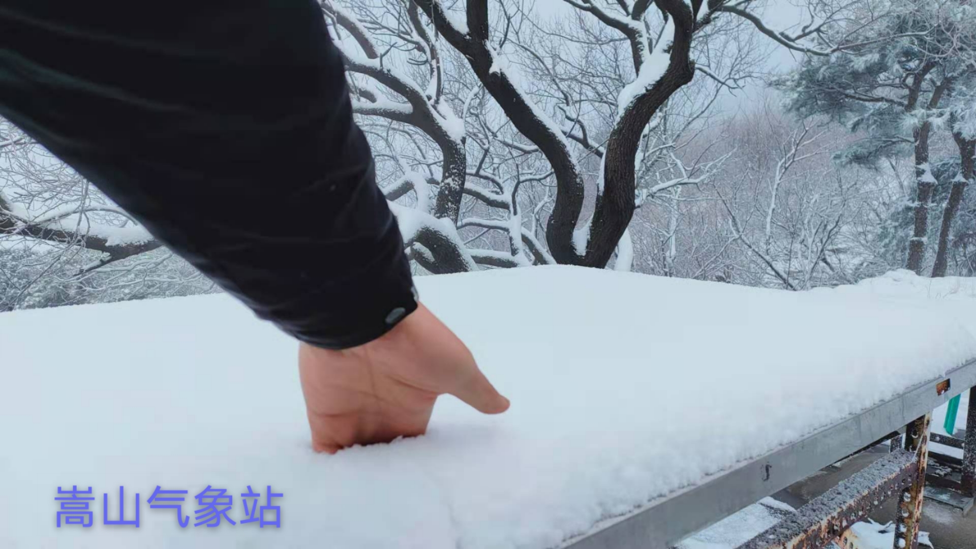 【大河网景】你那里下雪了吗？明天还有一场冷空气过程，气温一路走低