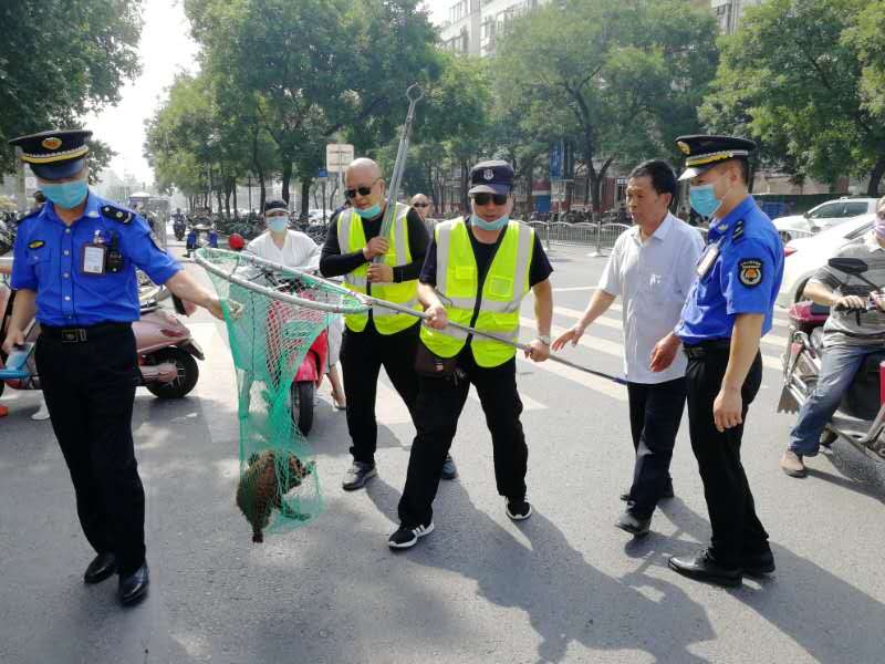 遛狗不拴狗繩 城管將開展執法整治 熱備資訊