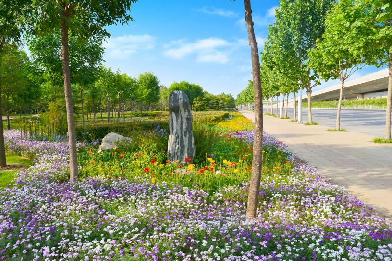 像绣花一样精细--看城市画师如何用繁花绿