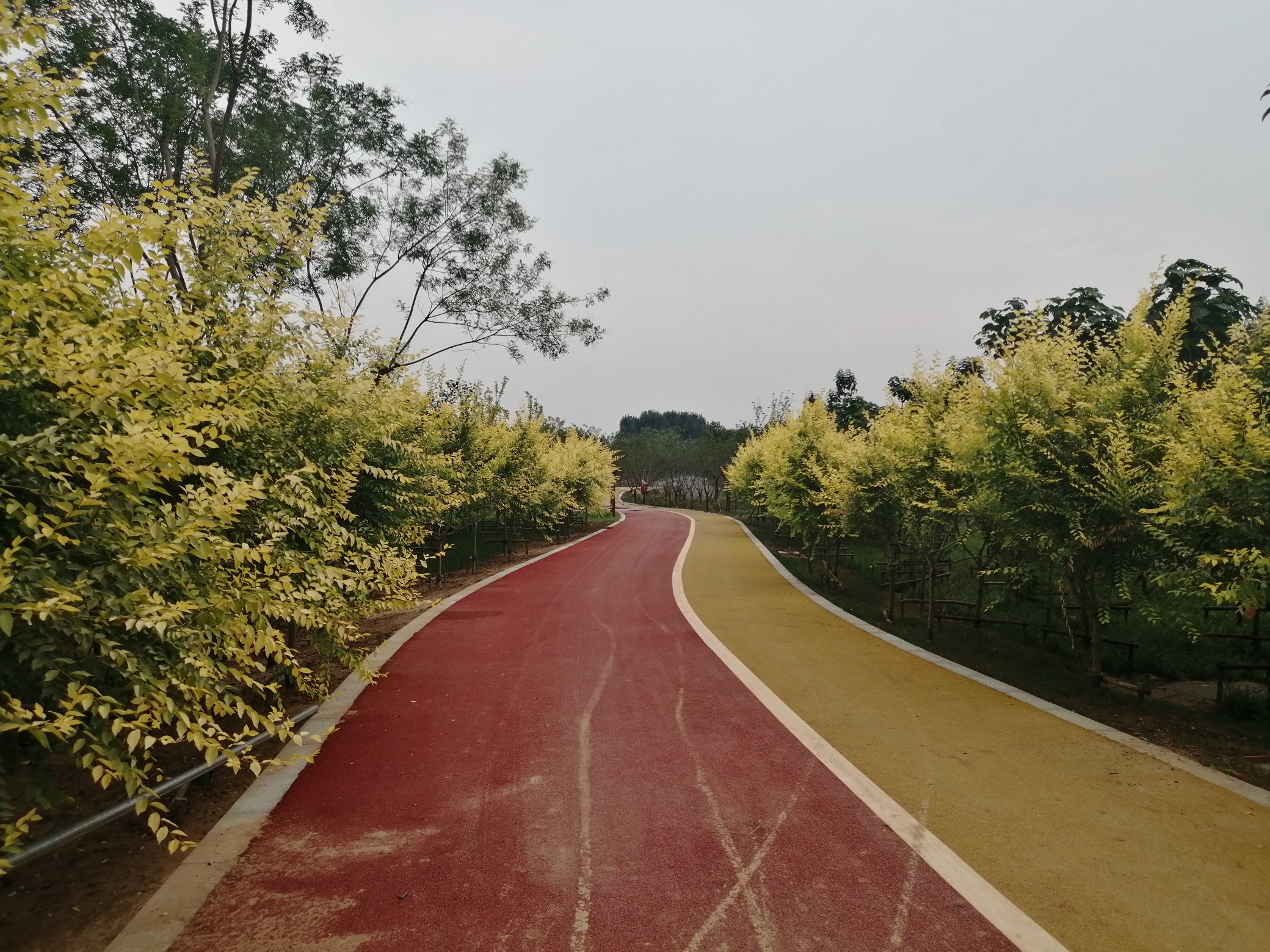 冷空气|雨水要催促夏天撤离吗? 明起冷空气送来秋天