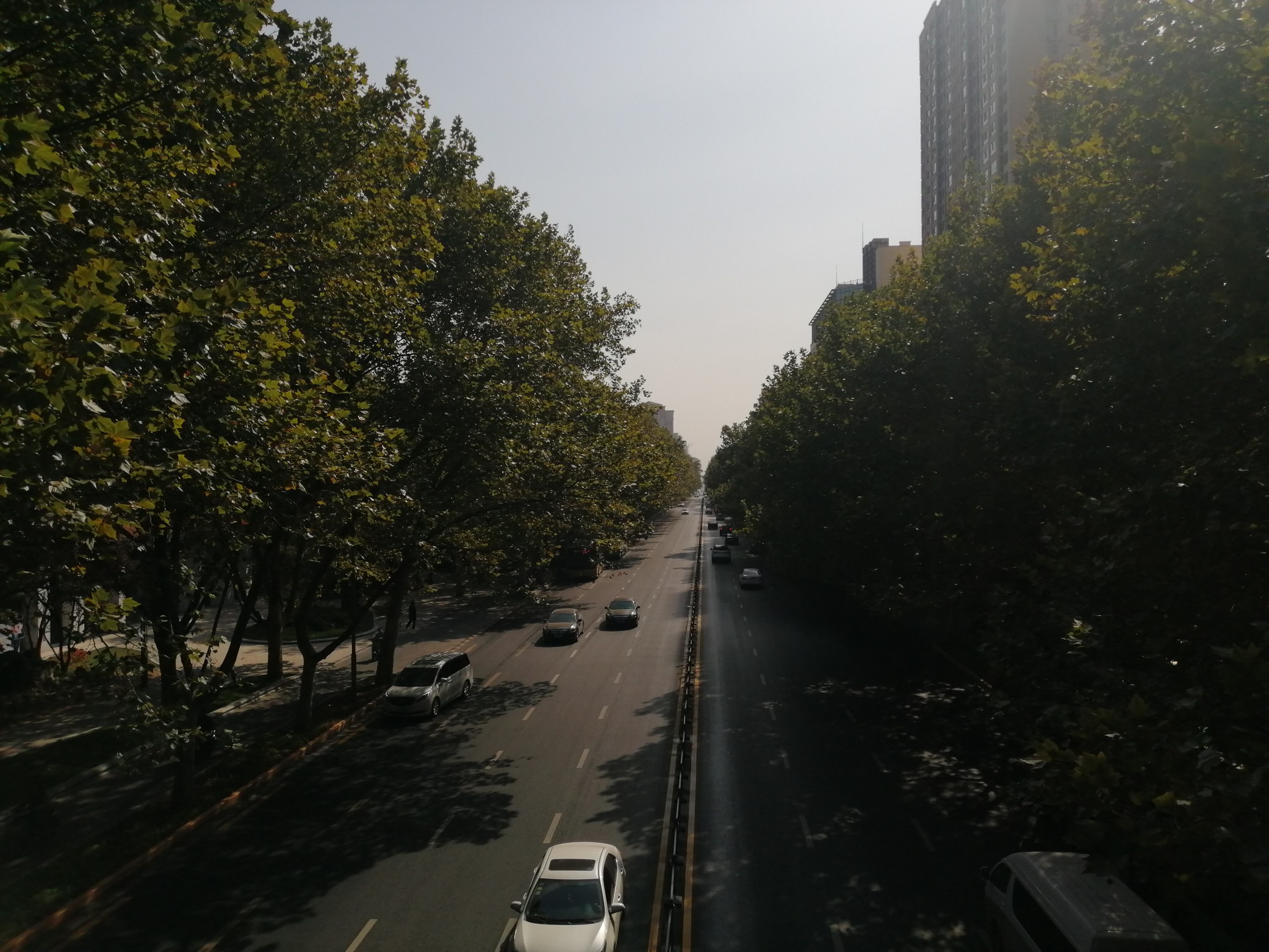 |霜降节气就一定能有霜？下周冷空气将来，河南大降温！