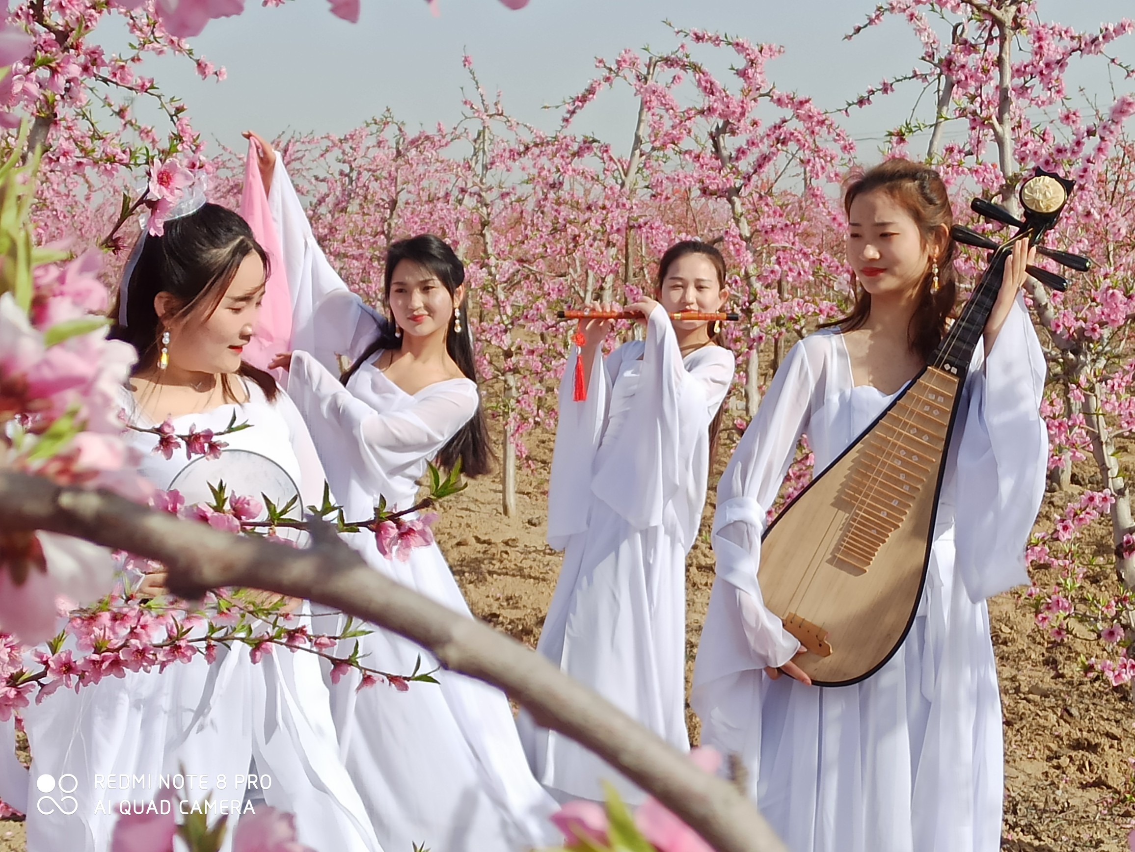 据了解,本届桃花节以"展示叶县风采 助力乡村振兴"为主题,赏花地点除