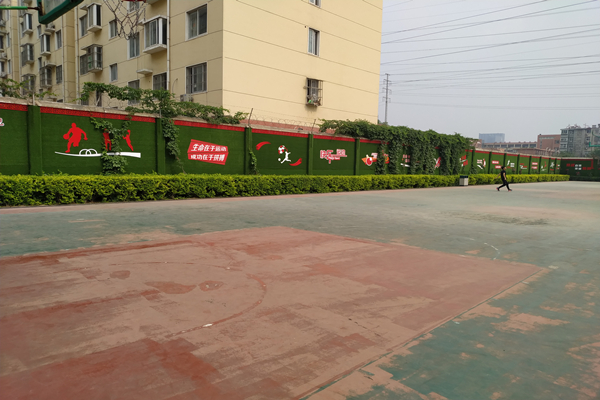 郑州74中:绿色永恒的美 校园温馨的家