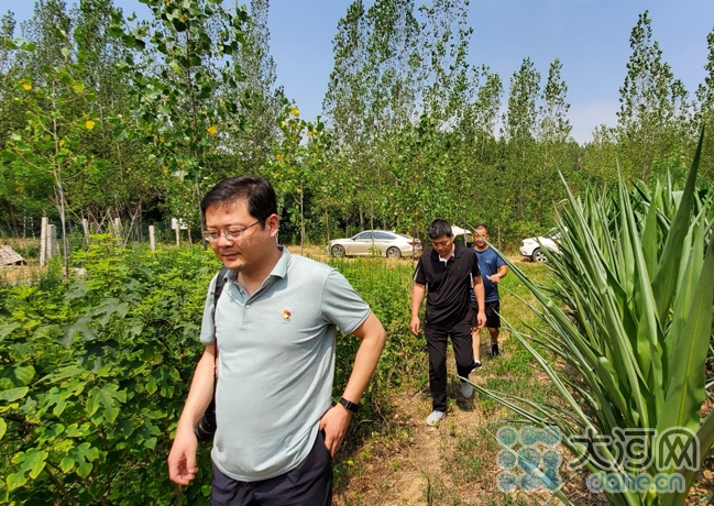 平顶山叶县保安镇有多少人口_叶县保安镇高付全照片