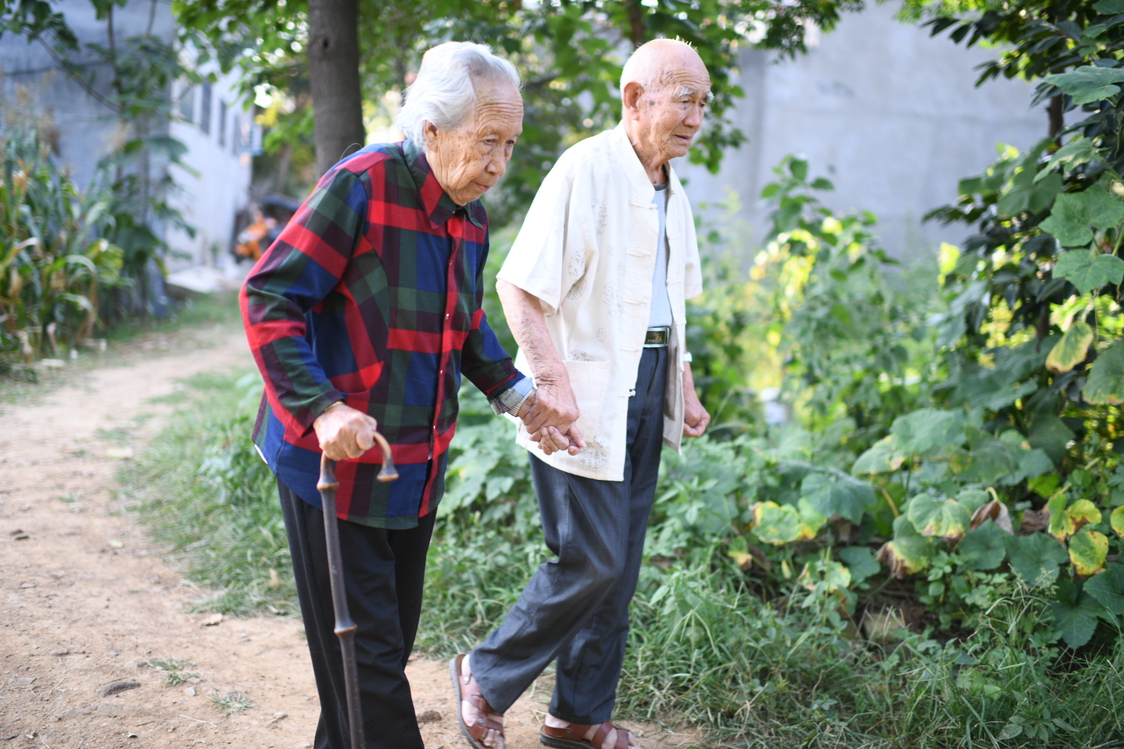 赵文业每天坚持牵着老伴的手散步