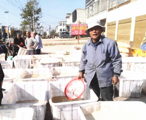 驻马店这个县:红薯加工成“金砣”