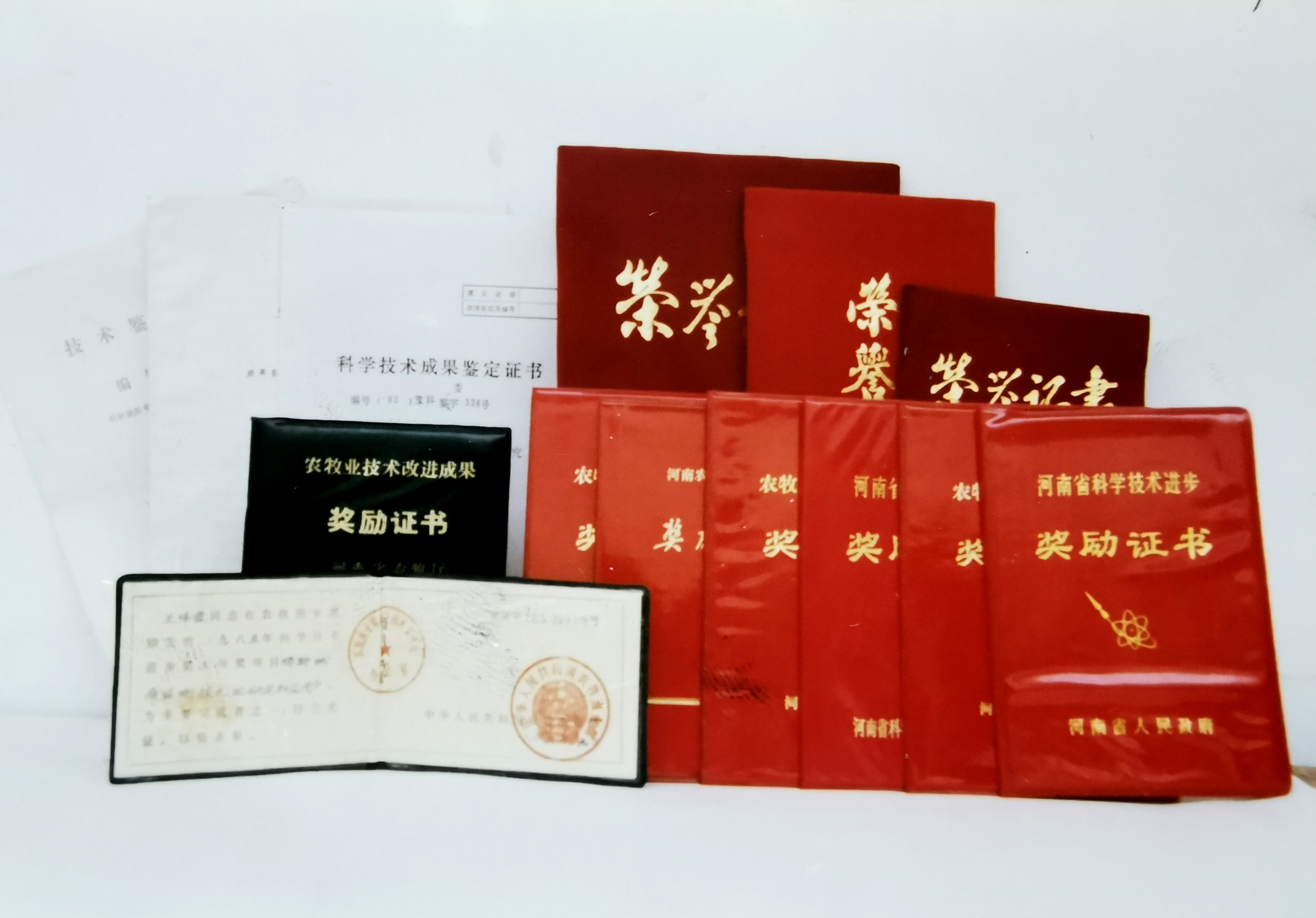 「大河网」挥手捐下8208万！河南农业大学77岁老教授王泽霖令国人感动