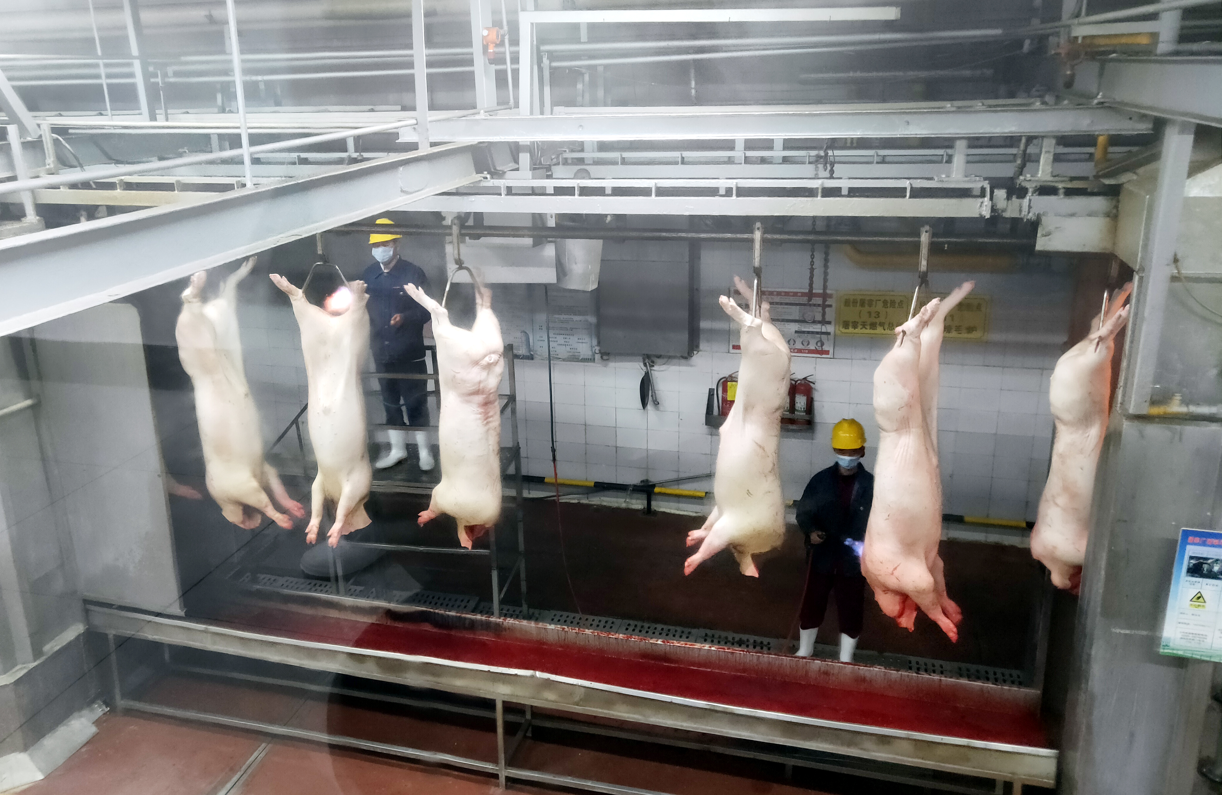 省发改委急电各市力助双汇复产大河报探访漯河双汇总部基地员工多数已