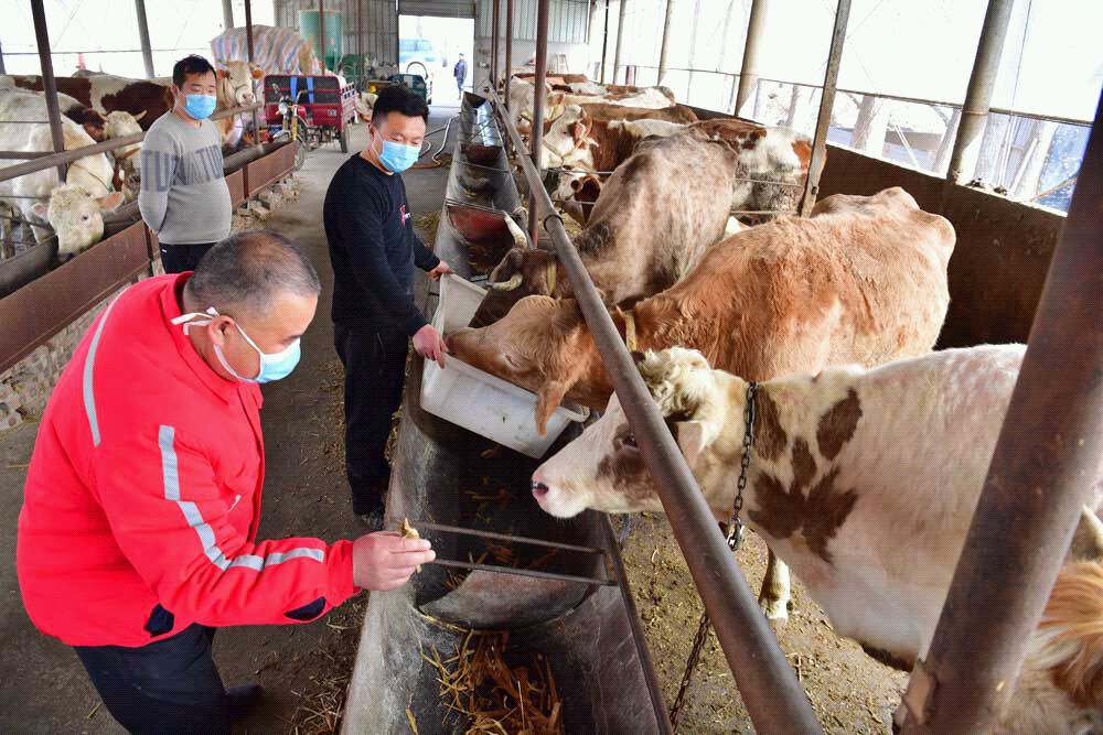 有家不回偏要住帐篷，这是咋回事？(图2)