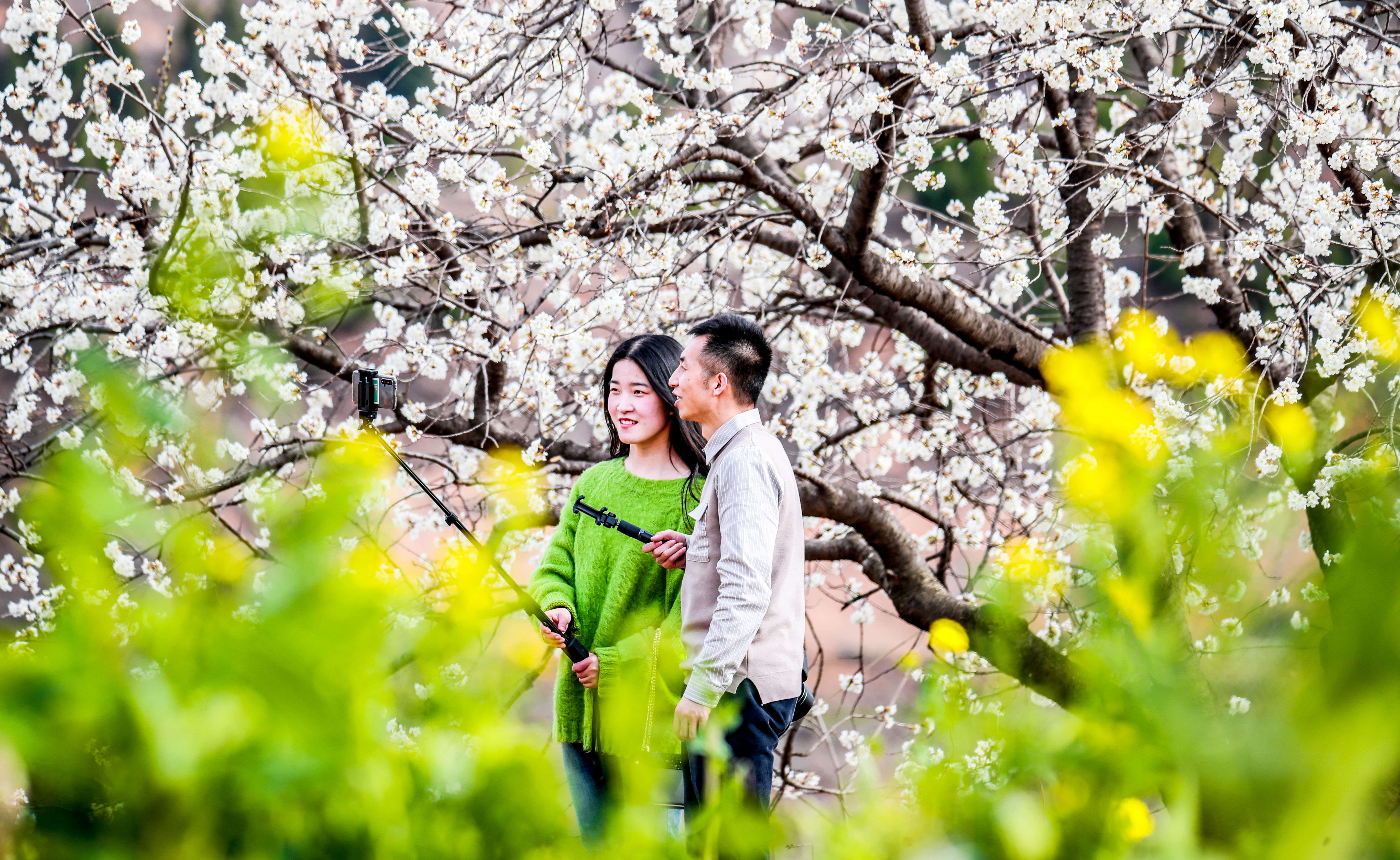 「风景」旅游业复苏探访报道之五丨三门峡：旅行社叫响“家门口的风景最美”
