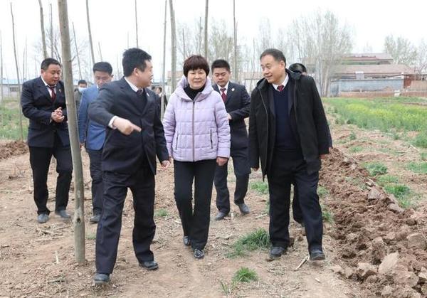 河南省濮阳市台前县检察院诉前检察建议设立“生态修复公益林”  督促补种树木200棵
