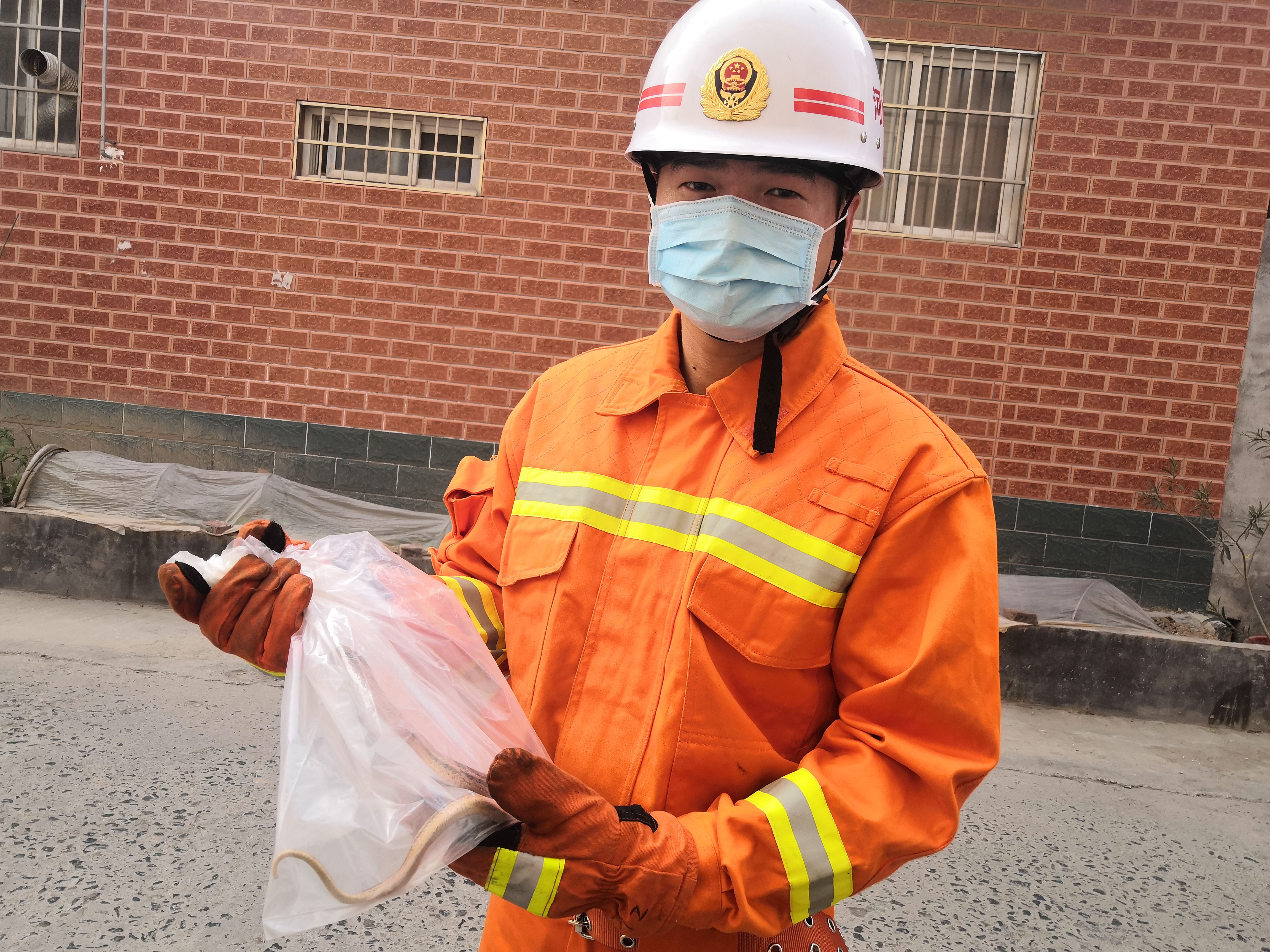 [摩托车]惊魂！蛇出没!新乡一女士骑摩托外出，车把上竟然盘着一条蛇