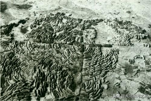 洛阳白居易故居千年后重见天日，保护开发喊了26年仍是撂荒地，过程一波三折太唏嘘