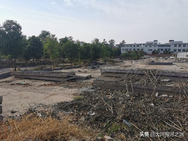 洛阳白居易故居千年后重见天日，保护开发喊了26年仍是撂荒地，过程一波三折太唏嘘