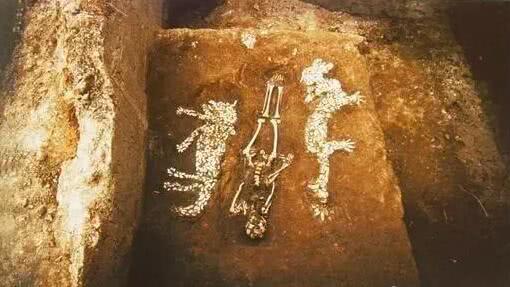 久等了！河南博物院主展馆改造初露真容！四个神秘图案现身有何深意？