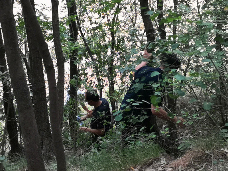 法制男子持斧头砍死邻居逃进深山，警方奋战60小时抓捕……