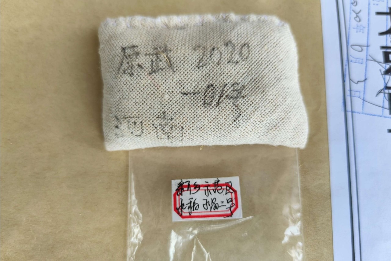 太空种子奥利给！“太空种子”扎根平原示范区，开启稻米产业新征程