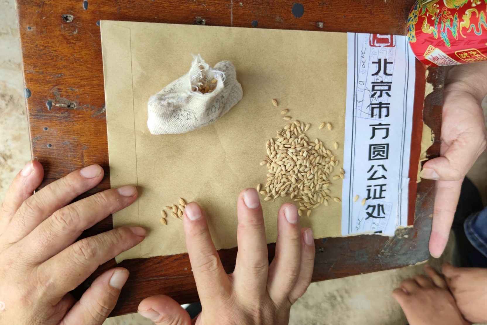 太空种子奥利给！“太空种子”扎根平原示范区，开启稻米产业新征程