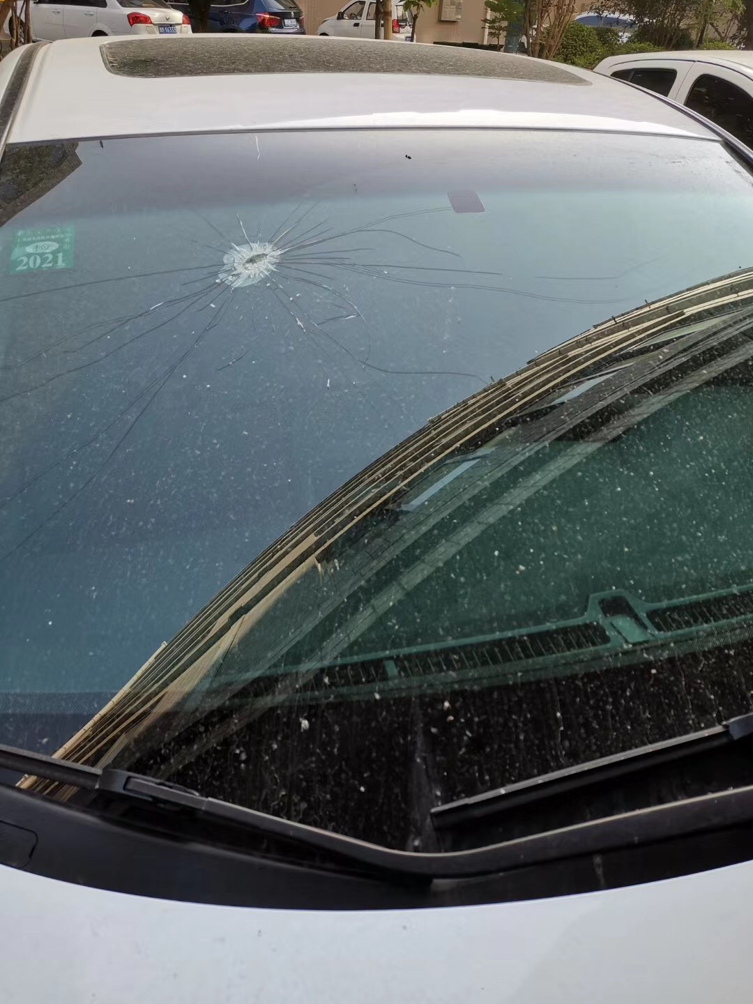 法制|三门峡一小区外墙瓷砖掉落，砸中楼下车玻璃