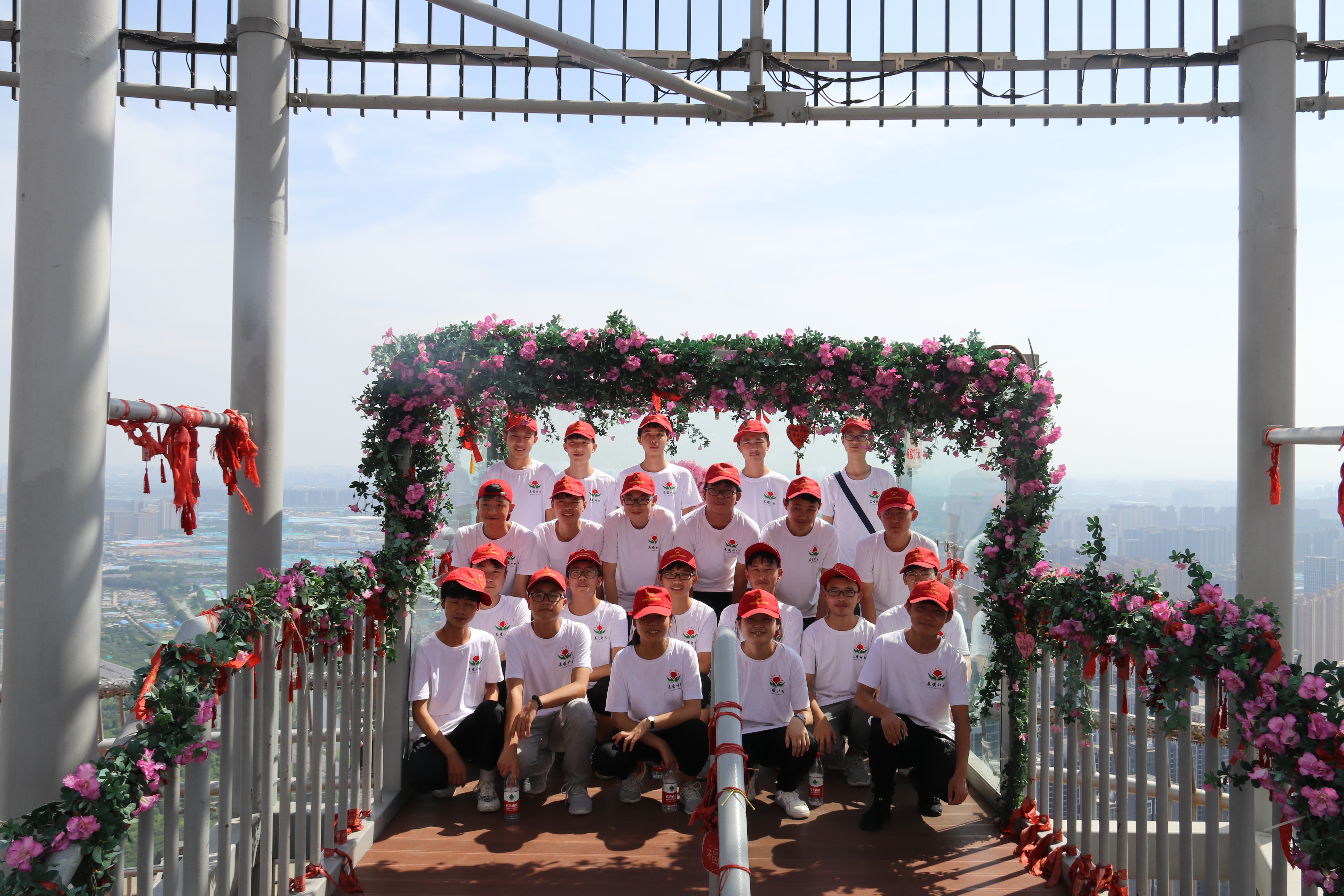 曙光初现|谁说“低黄瓜爬不了高架子”？河南“晨曦计划”曙光初现