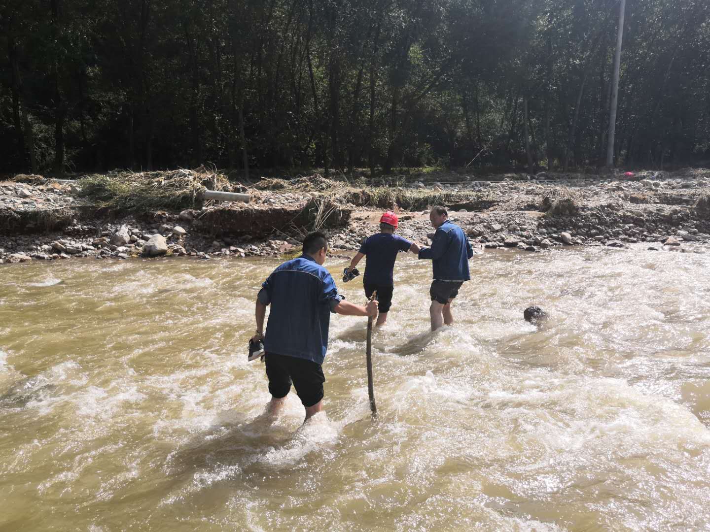 暴雨|因暴雨断电！三门峡出动抢修人员1120人次，供电全部恢复