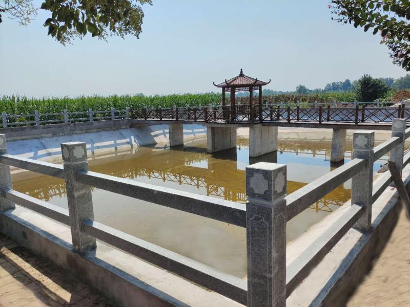 内乡马山口镇高起点改善人居环境大手笔推进乡村振兴