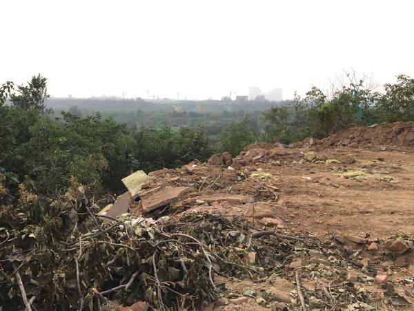 郑州市中原区冯湾村：十几车渣土倒进深沟，沟底果木被压埋