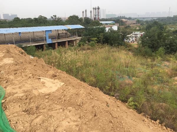 郑州市中原区冯湾村：十几车渣土倒进深沟，沟底果木被压埋