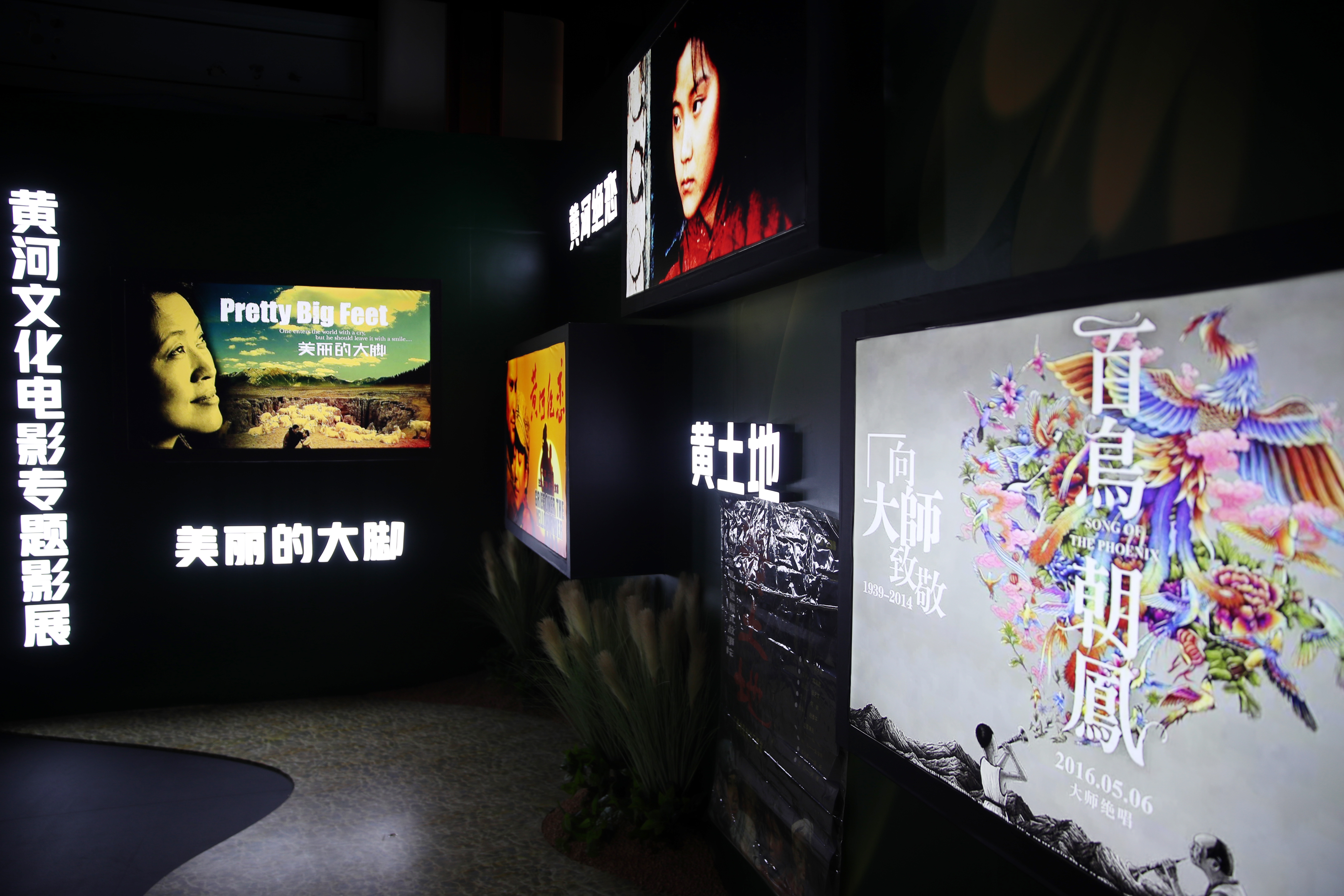 |扎堆儿亮相二线城市，“电影节”给爱电影的人带来了什么?