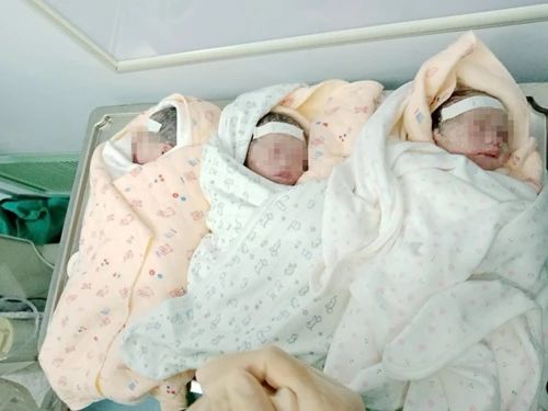 |同卵三胞胎，在驻马店平安诞生