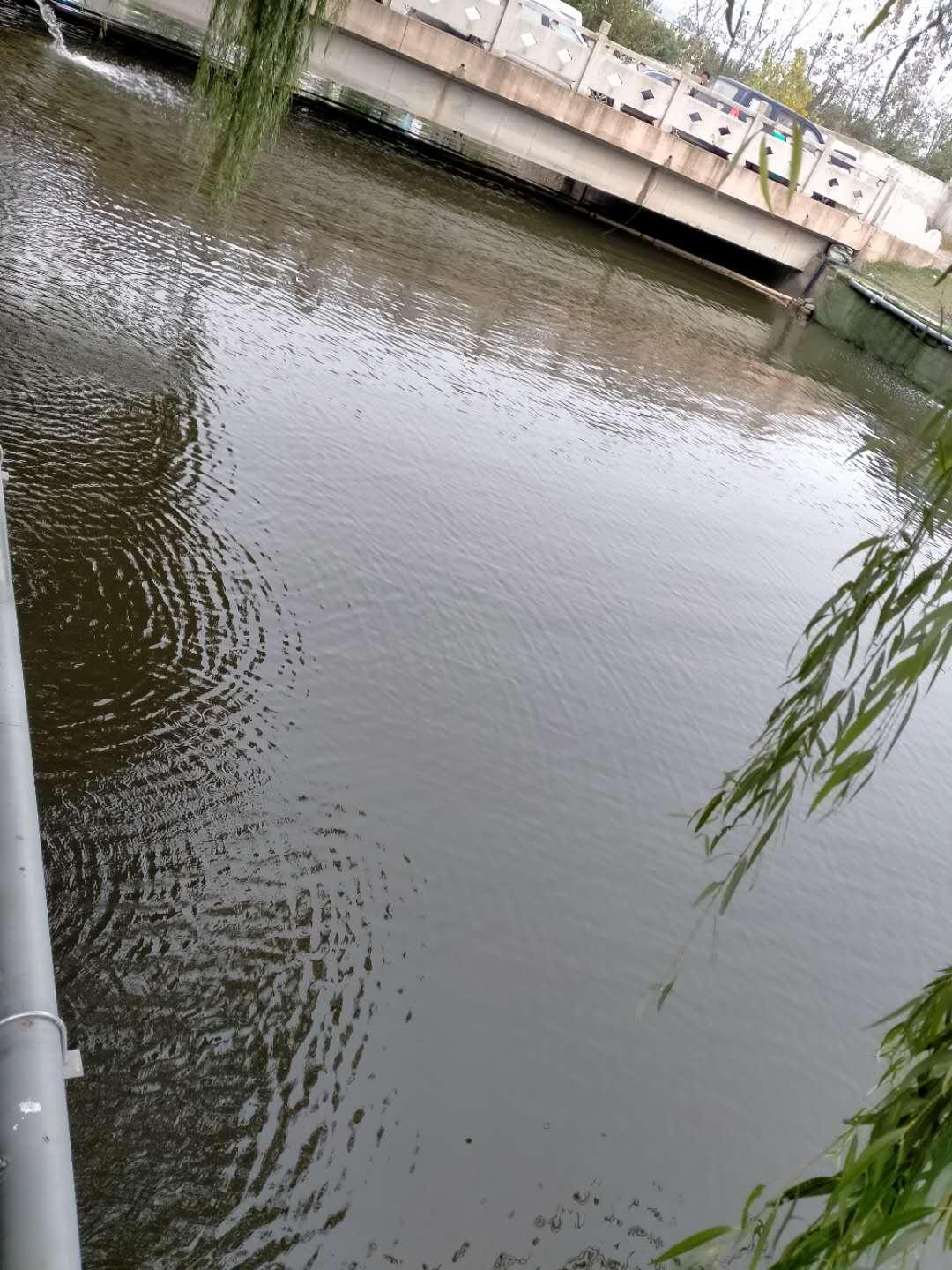 |南京两名幼童落水挣扎，济源男子毫不犹豫跳入冰冷河中施救