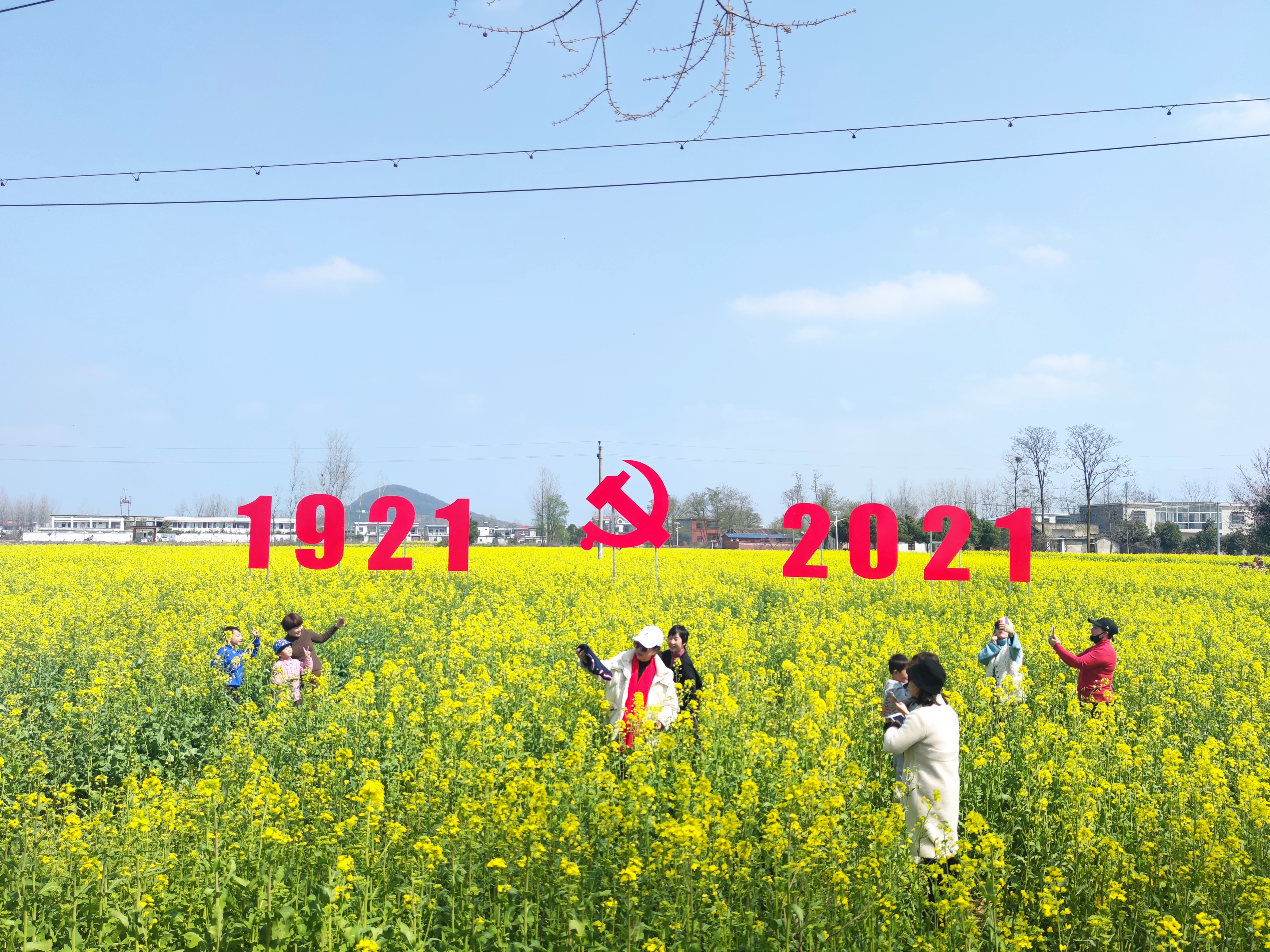 油菜花海等你来！光山县第四届仙居油菜花文化节开幕